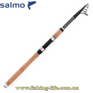 Спінінг Salmo Aggressor Travel Spin 20 2.40м. 5-20гр. Moderate 5424-240 фото