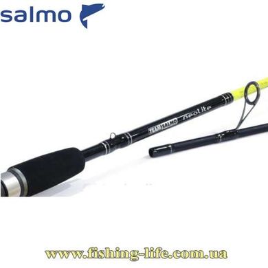 Спиннинг Team Salmo Neolite 2.65м. 7-32гр. Fast TSNE2-872F фото