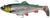 Силікон Savage Gear 4D Trout Rattle Shad S 125мм. 35гр. #Green Silver 18541983 фото