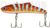 Воблер Narval Frost Candy Vib 95мм 32гр. #021 Red Grouper 19090110 фото
