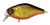 Воблер Jackall Chubby 38 (38мм. 4.0гр. 0.5-1.0м.) Gold & Black 16990407 фото