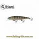 Воблер Usami Kumo 115F-SR (115мм. 15.4гр.) 106 17770599 фото в 1