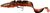 Силікон Savage Gear 3D Burbot Shallow SS 250мм. 70гр. #Bloody Burbot UV (уп. 1шт.) 18540889 фото