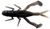 Силикон Jackall Dragon Bug 3" Cola Ebimiso/Black 16990732 фото