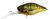 Воблер Jackall Diving Chubby 38 (38мм. 4.3гр. 1.0-1.5м.) HL Shinning Tiger