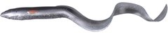 Силикон Savage Gear 3D Real Eel Loose Body 150мм. 12гр. #20 Black Silver Eel (уп. 1шт.) 18540328 фото