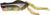 Глісер Jackall Gavacho Frog 69 (69мм. 18.0гр. 0.0м.) Gold Gill 16991565 фото