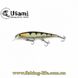 Воблер Usami Kumo 115F-SR (115мм. 15.4гр.) 106 17770608 фото в 1