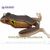 Глісер Kahara "Diving Kahara Frog" (#2 JP Brown Frog) 35103-02 фото