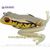 Глісер Kahara "Diving Kahara Frog" (#6 JP Toad) 35103-06 фото