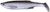 Силикон Savage Gear LB 3D Bleak Paddle Tail 4" 01-Bleak (уп. 5шт.) 18540724 фото