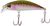 Воблер DUO Spearhead Ryuki 45S (45мм. 4.0гр. 0.4-0.6м.) MCC4036 Rainbow Trout 343088 фото