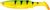 Силикон Savage Gear LB 3D Bleak Paddle Tail 4" 03-FireTiger (уп. 5шт.) 18540749 фото