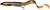 Воблер Savage Gear 3D Hard Eel 170SS 2+1 170мм. 50.0гр. Black Gold 18541822 фото