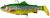 Силікон Savage Gear 4D Trout Rattle Shad S 125мм. 35гр. #Firetrout 18542084 фото