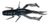 Силикон Jackall Dragon Bug 3" Black/Blue Shrimp 16991085 фото