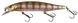 Воблер Jackall RV-Minnow 110SP (110мм. 16.3гр. 0.5-1м.) Dragon Fruit Mat Tiger 16992934 фото в 1