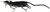 Воблер Savage Gear 3D Rad 300мм. 90гр. #02 Black 18540222 фото