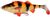 Воблер Savage Gear 4D Perch Shad 175мм. 67гр SS 03-Albino 18540710 фото